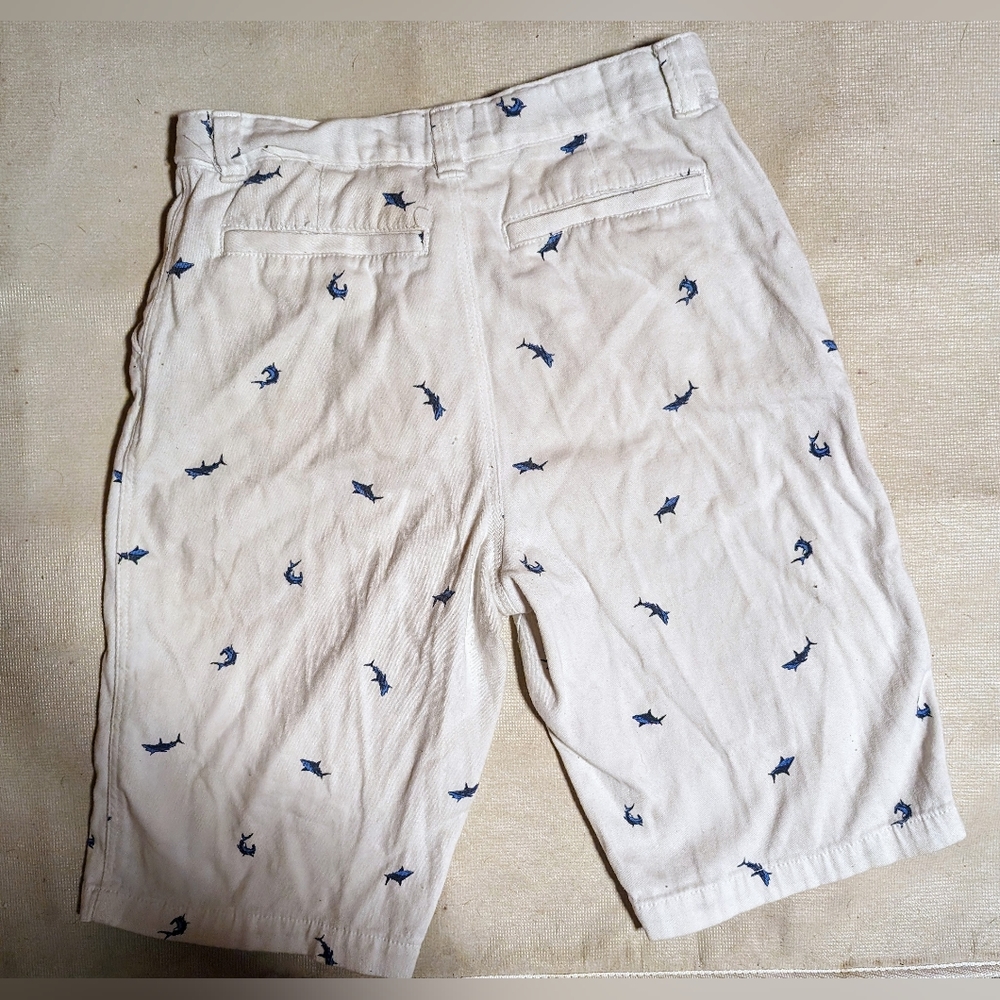 Boys Size 18. Preppy Shark Shorts.